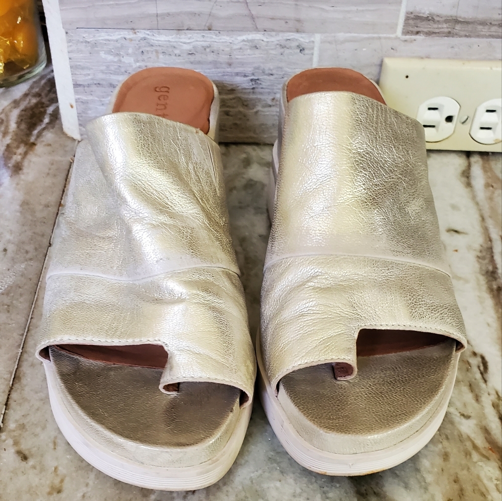 Gentle Souls Gisele 65 slides.